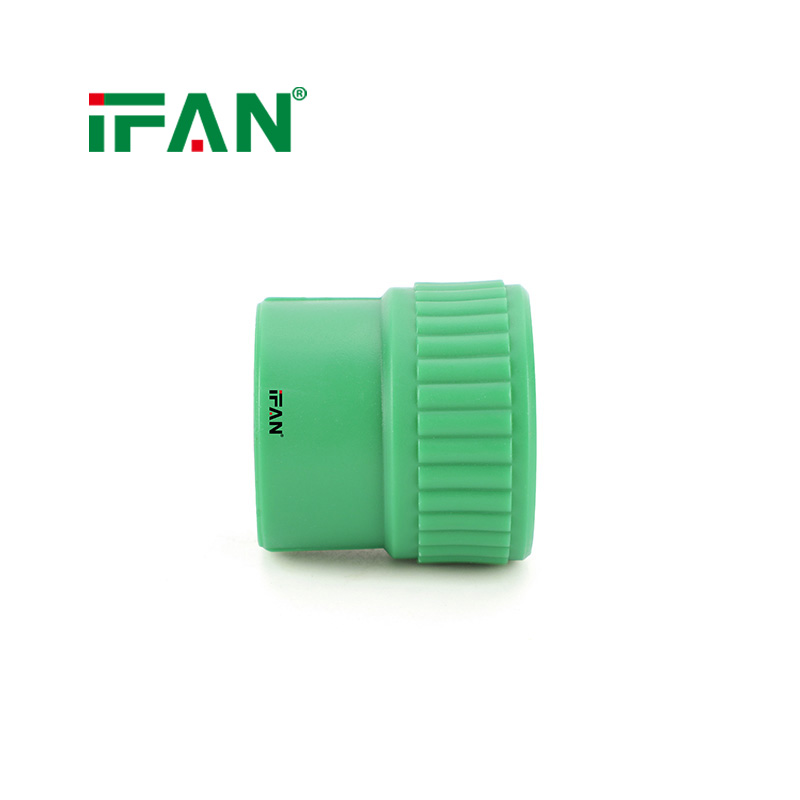 IFAN Manufacturer Wholesale Stainless Steel Pipe Fittings Male Thread Socket Pipe Fittings Hot Selling EN 15874 PPR Water Fitting - Gallery Image 6