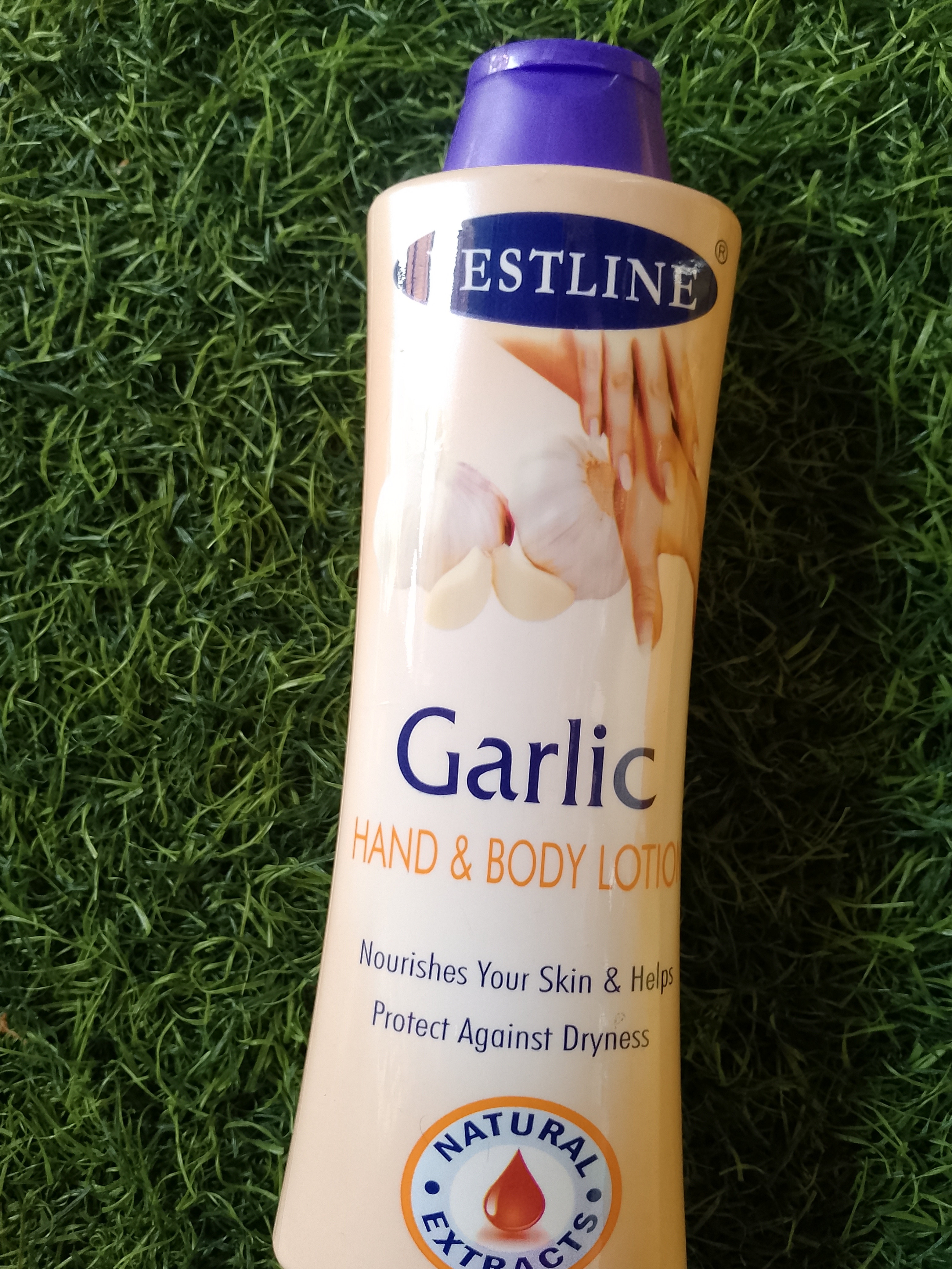 Garlic